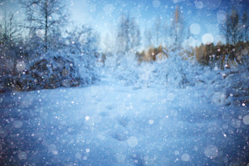 landscape winter forest in hoarfrost background