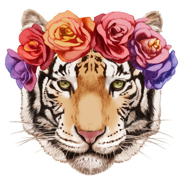 Portrait of Tiger with floral head wreath. Hand-drawn illustration, digitally colored.