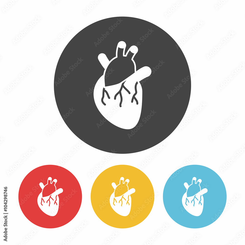 Poster organ heart icon