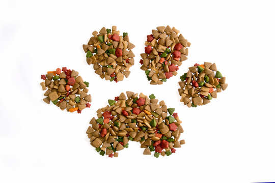 Everything You Need To Know Before Buying Iams Dog Food For Your Furry 