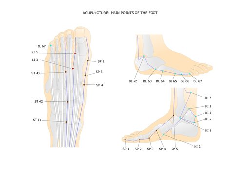 acupuncture: main points of the foot and ankle