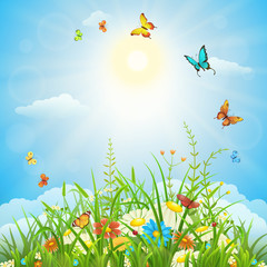Fototapeta na wymiar Spring or summer sunny landscape with green grass, flowers and butterflies