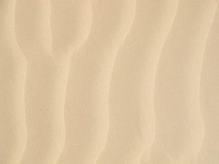 Sand Ripples