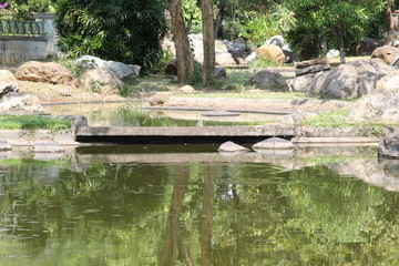 Fototapeta na wymiar Beautiful green park with pond.