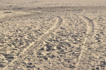 Huellas de cuatrimoto en la arena