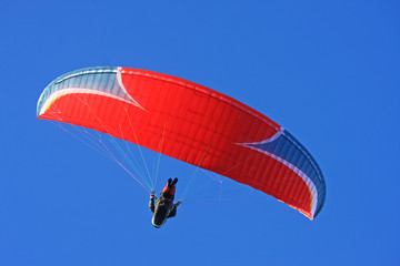 Paraglider