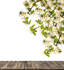 Wooden table with blossoming apple tree