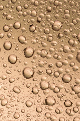 macro shot of liquid droplets with reflection. color background with water drops texture. gradient color