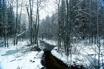 Winter landscape of a forest river