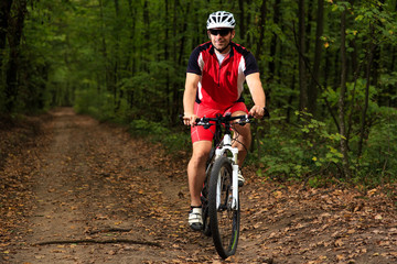 Fototapeta premium Rider on Mountain Bicycle it the forest