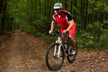 Fototapeta premium Rider on Mountain Bicycle it the forest