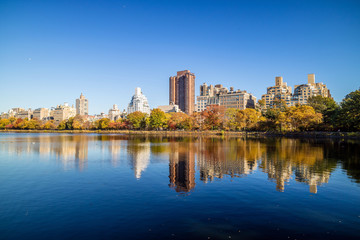 Fototapeta na wymiar Central Park in Autumn