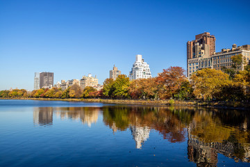 Fototapeta premium Central Park jesienią