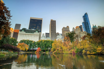 Central Park in Autumn - obrazy, fototapety, plakaty