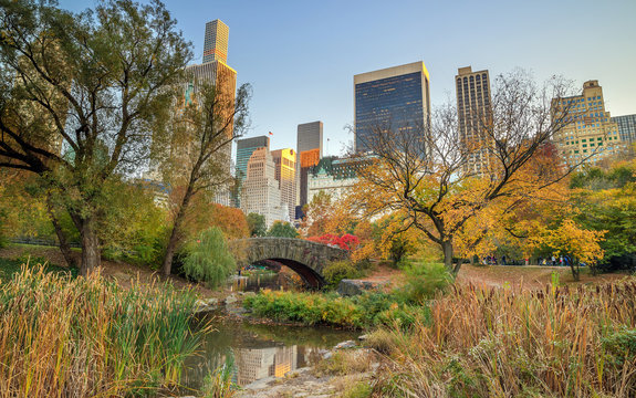 Central Park in Autumn