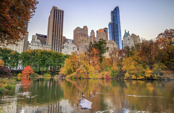 Central Park in Autumn