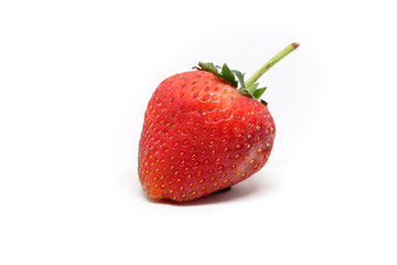 Red berry strawberry