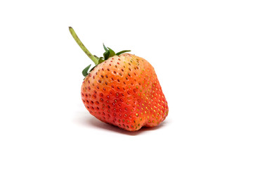 Red berry strawberry