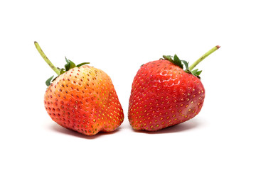 Red berry strawberry