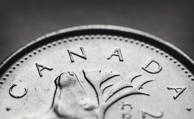 Close up of Canadian quarter