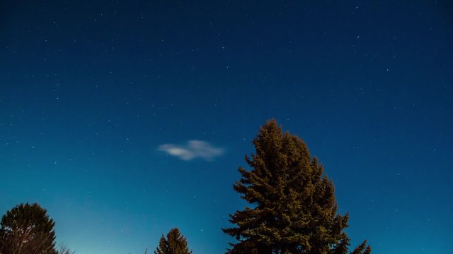 baeume sternen mit wolken in der nacht zeitraffer