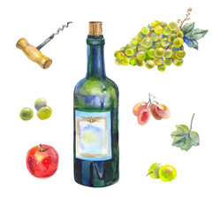watercolor wine collection