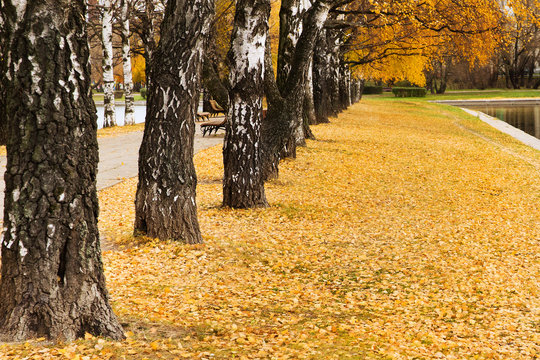Autumn.moscow Images – Browse 34,851 Stock Photos, Vectors, and Video ...