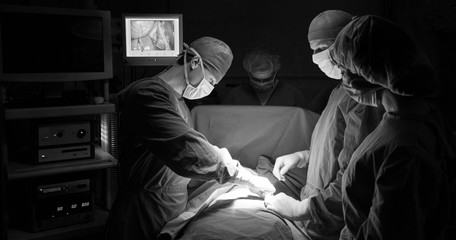 Fototapeta na wymiar Medical surgery