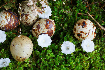 Easter eggs in a basket
