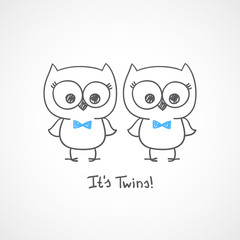 owls twins