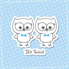 owls twins