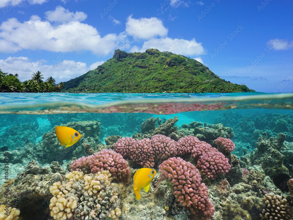 Wall mural split image above and below water surface, landscape of huahine island with coral and tropical fish 