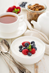 Natural yogurt in a bowl with berries