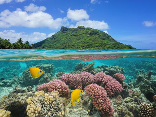 Split image above and below water surface, landscape of Huahine island with coral and tropical fish underwater, Pacific ocean, French Polynesia