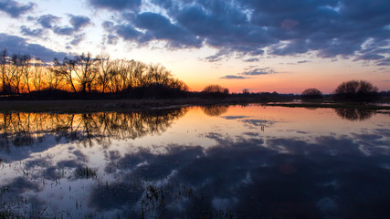 Fototapeta premium European pond reflecting the sky.