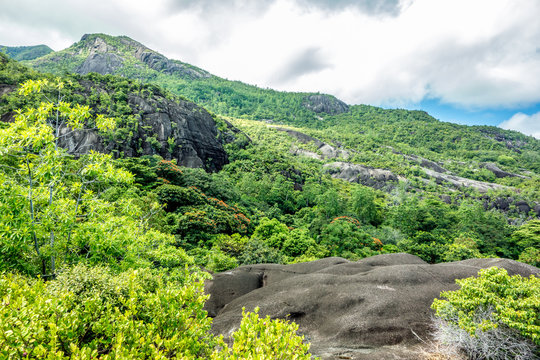 Morne Seychellois National Park - Mahe - Seychelles