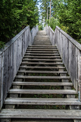 Fototapeta na wymiar gewaltige Holztreppe in der freien Natur