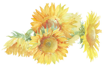Flower sunflower watercolor - 104319979