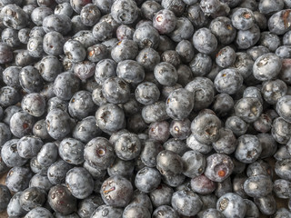 Blueberries