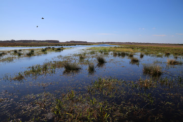 Wasserlandschaft im Wildpark Orlando