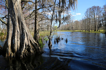 Wasserwelten in Florida