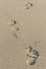 Fototapeta na wymiar footsteps on the sandy beach