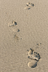 footsteps on the sandy beach