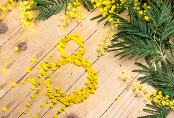 Декоративная композиция из мимозы к Международному женскому дню и Пасхе