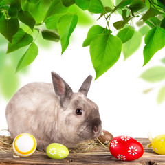 Funny little rabbit. Easter background.