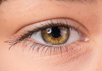 Fototapeta premium Woman eye with long eyelashes.