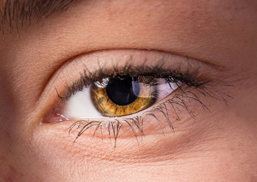 Woman eye with long eyelashes.