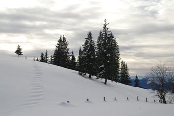 Fototapeta premium Spuren im Schnee