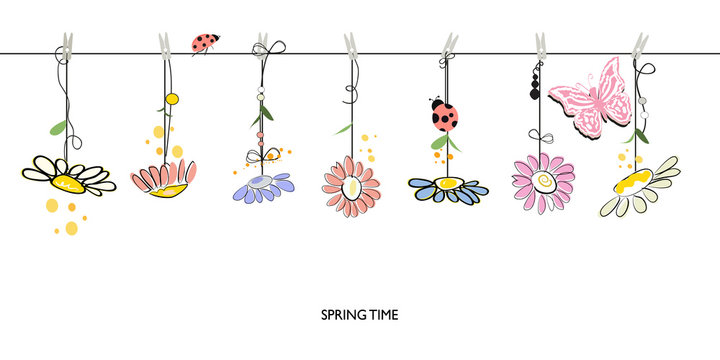 Spring time floral border background with hanging colorful daisy vector