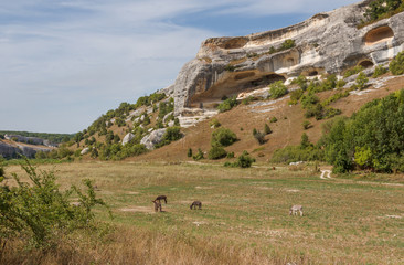 Crimea, near the cave city of Eski-Kermen. Landscape with unusual caves Zangurma-Kobalar and donkeys grazing on a hot summer day